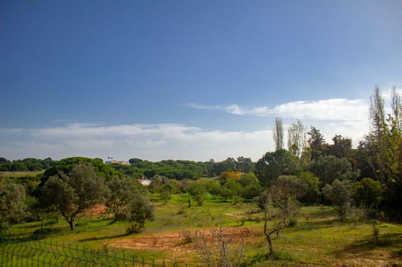 Villa Yvonne,Private Pool,Private Parking 1,7 Km From The Beatch Albufeira Dış mekan fotoğraf